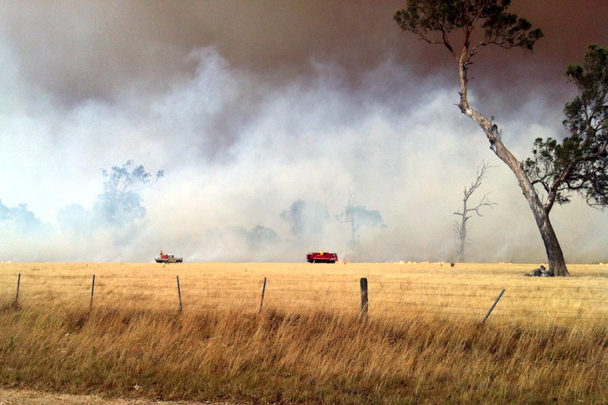 Firefighters battle a bushfire at Heyfield in Gippsland.
