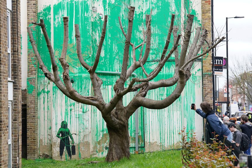 A bare tree with green paint in the shape of leaves on a wall behind it and people on the side taking photos.