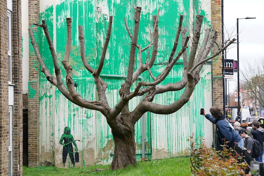 A bare tree with green paint in the shape of leaves on a wall behind it and people on the side taking photos.