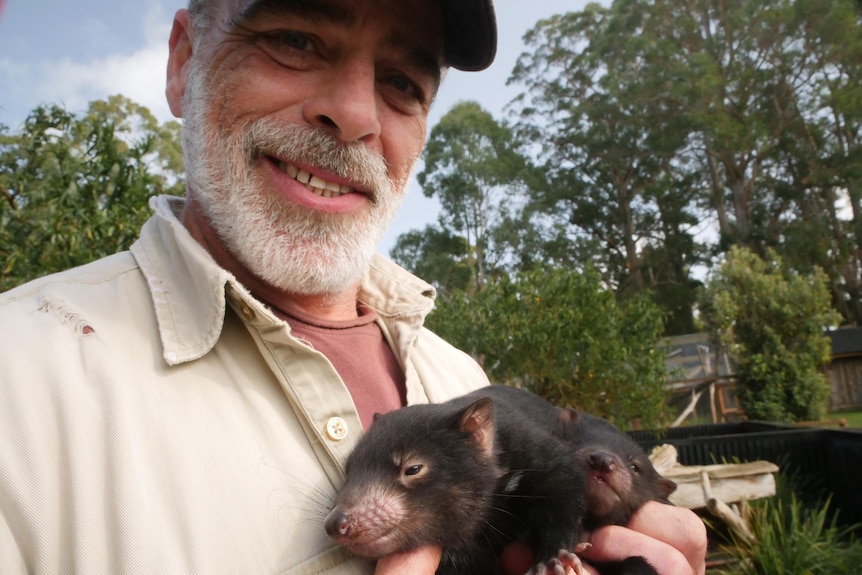 Bearded man wearing a cap smiling as he holds two baby Tasmanian devils against his chest.