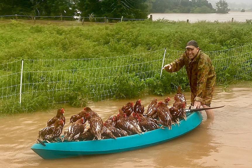 A man walks through floodwaters pushing dozens of drenched chickens on a kayak.