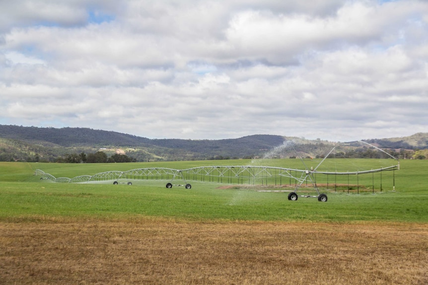 An irrigator pumps water across a paddock.