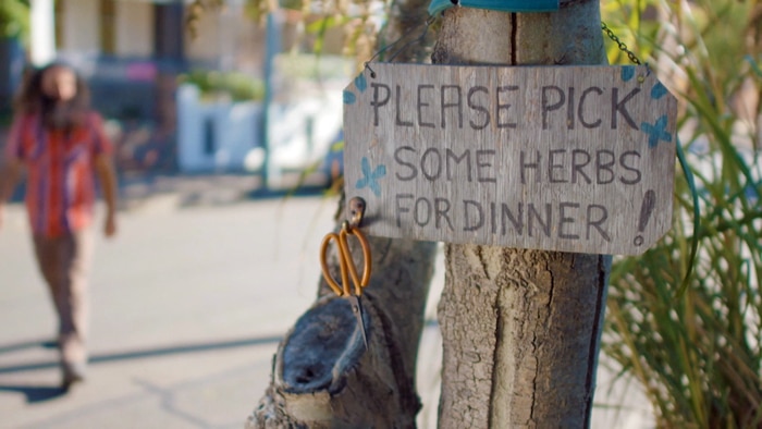Sign attached to tree in urban street says 'Please pick some herbs for dinner!'
