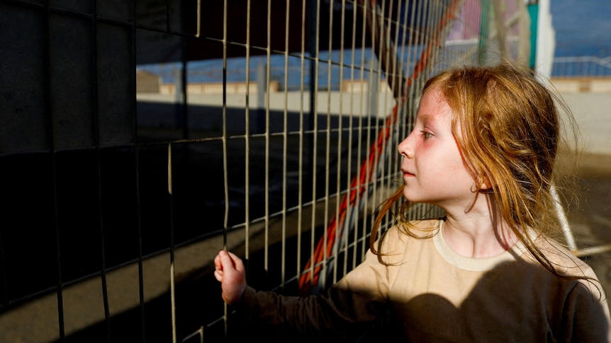 A little girl looks through a fence