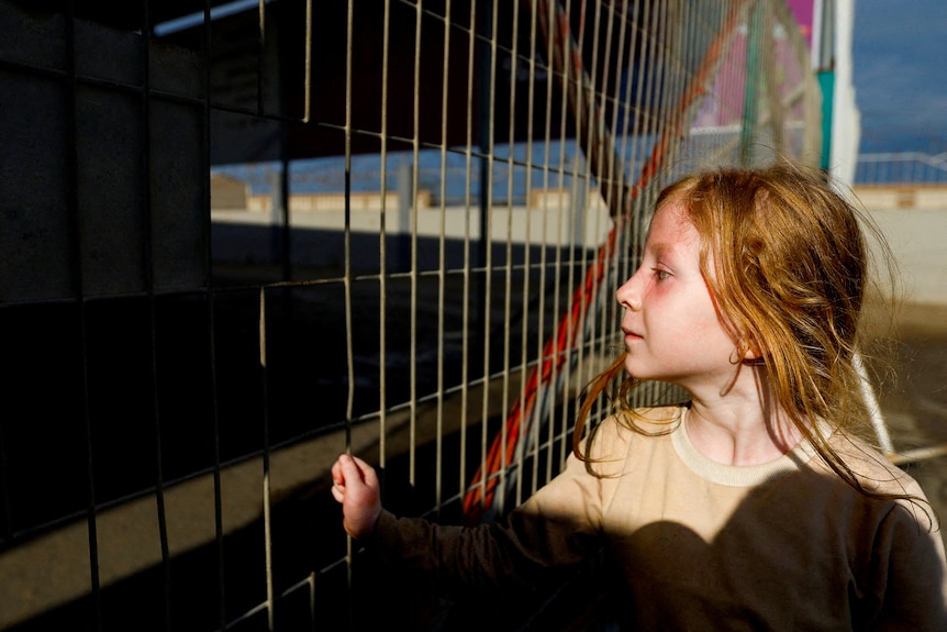 A little girl looks through a fence