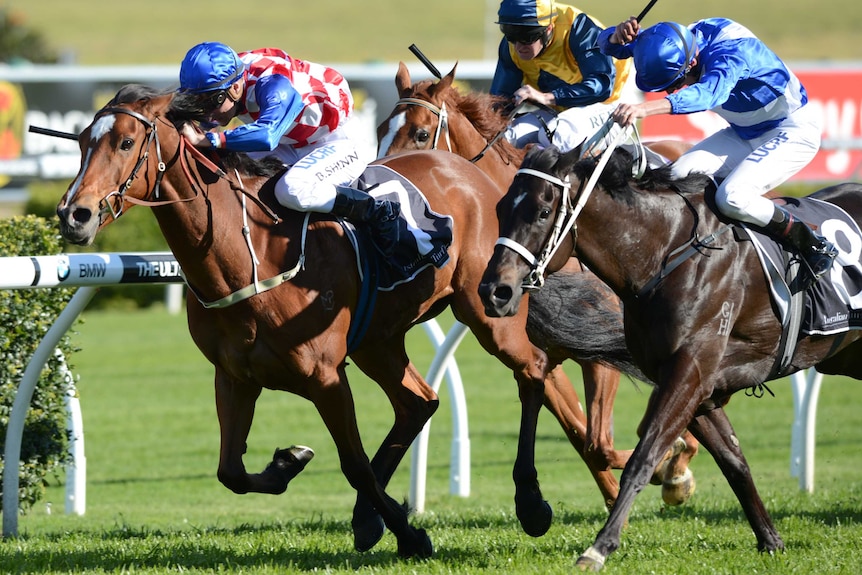 Streama wins another Group One