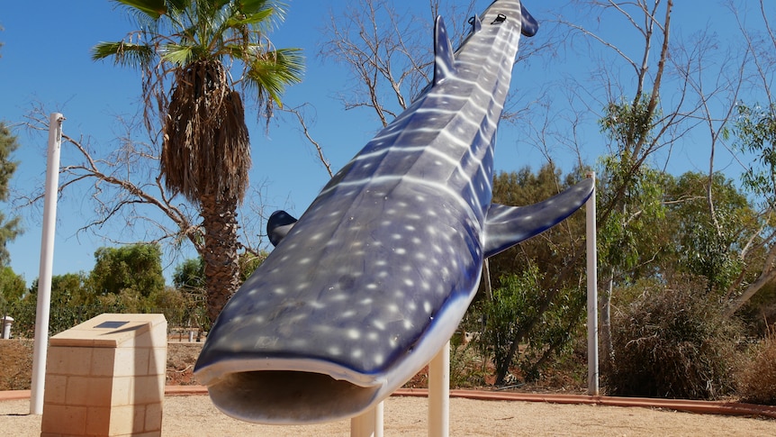 A dust-covered statue of a whale shark sits at angle with its tail in the air. Behind it are palm trees and blue sky.