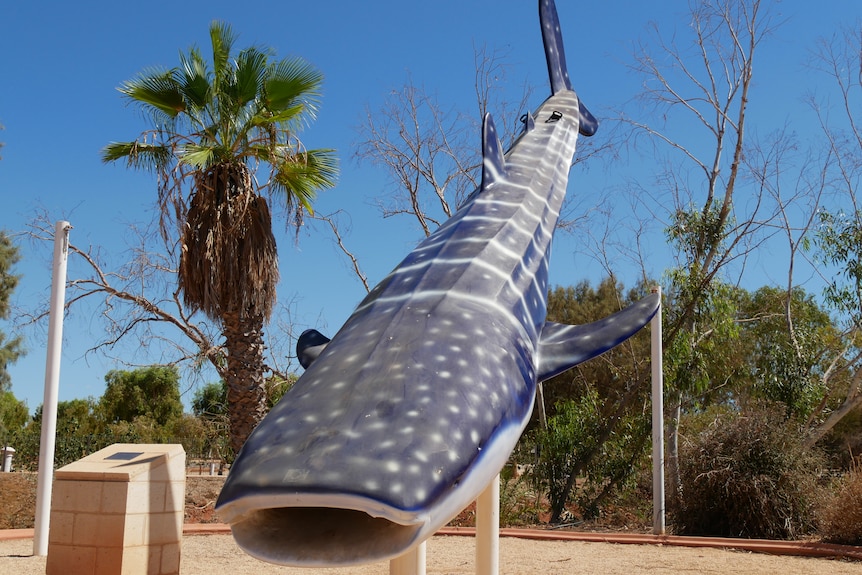 A dust-covered statue of a whale shark sits at angle with its tail in the air. Behind it are palm trees and blue sky.