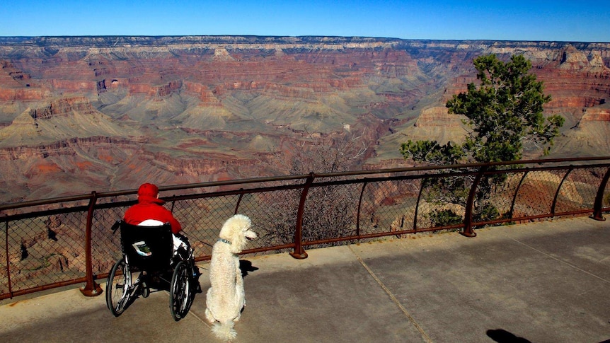 Norma overlooking the Grand Canyon in Arizona with her dog Ringo