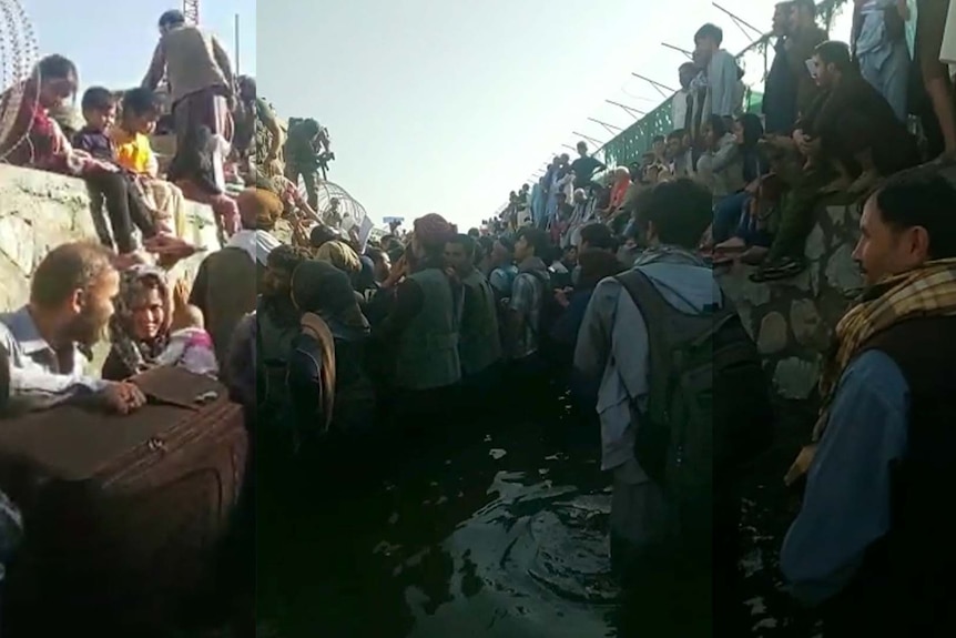 A chaotic scene of Middle Eastern people crowded together in a narrow alley next to a barbed wire fence.