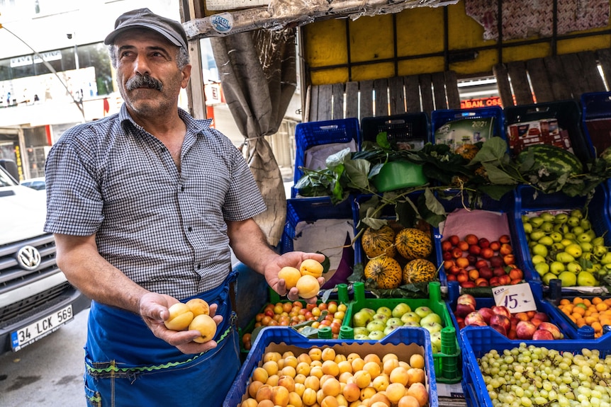 A man with a thick moustache wearing grey cap and blue apron holds apricots in his hands, next to a fruit stall