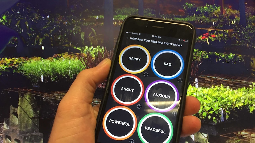 A mental health app survey asks Australians how they are feeling
