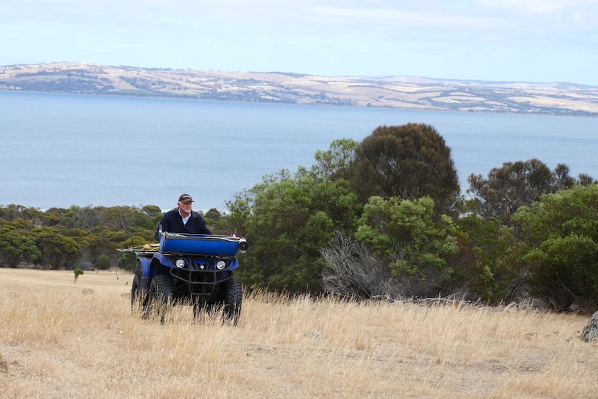 Unlikely greenie: How former Port Lincoln Mayor Peter Davis brought Boston Island back to life