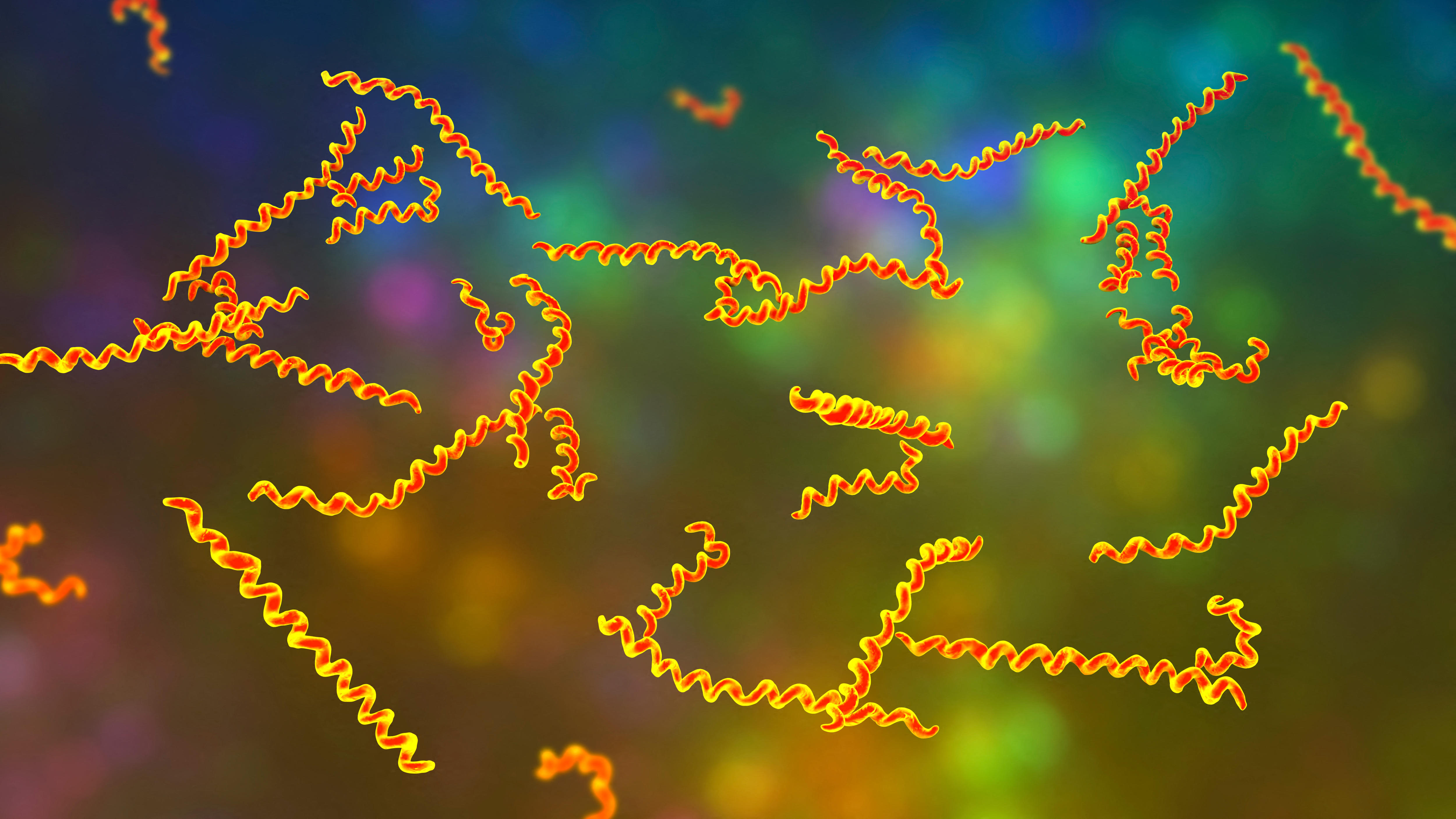 Ancient DNA in Colombian skeleton may reveal clues to origin of syphilis