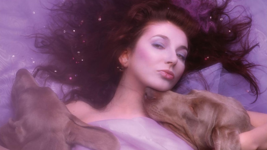 Kate Bush lies down on a purple sheet with two brown dogs faces lying on her chest. She wears a purple dress and purple makeup.
