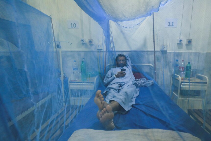 A man, suffering from dengue fever, uses mobile phone as he lies under a mosquito net inside a dengue ward in Pakistan. 