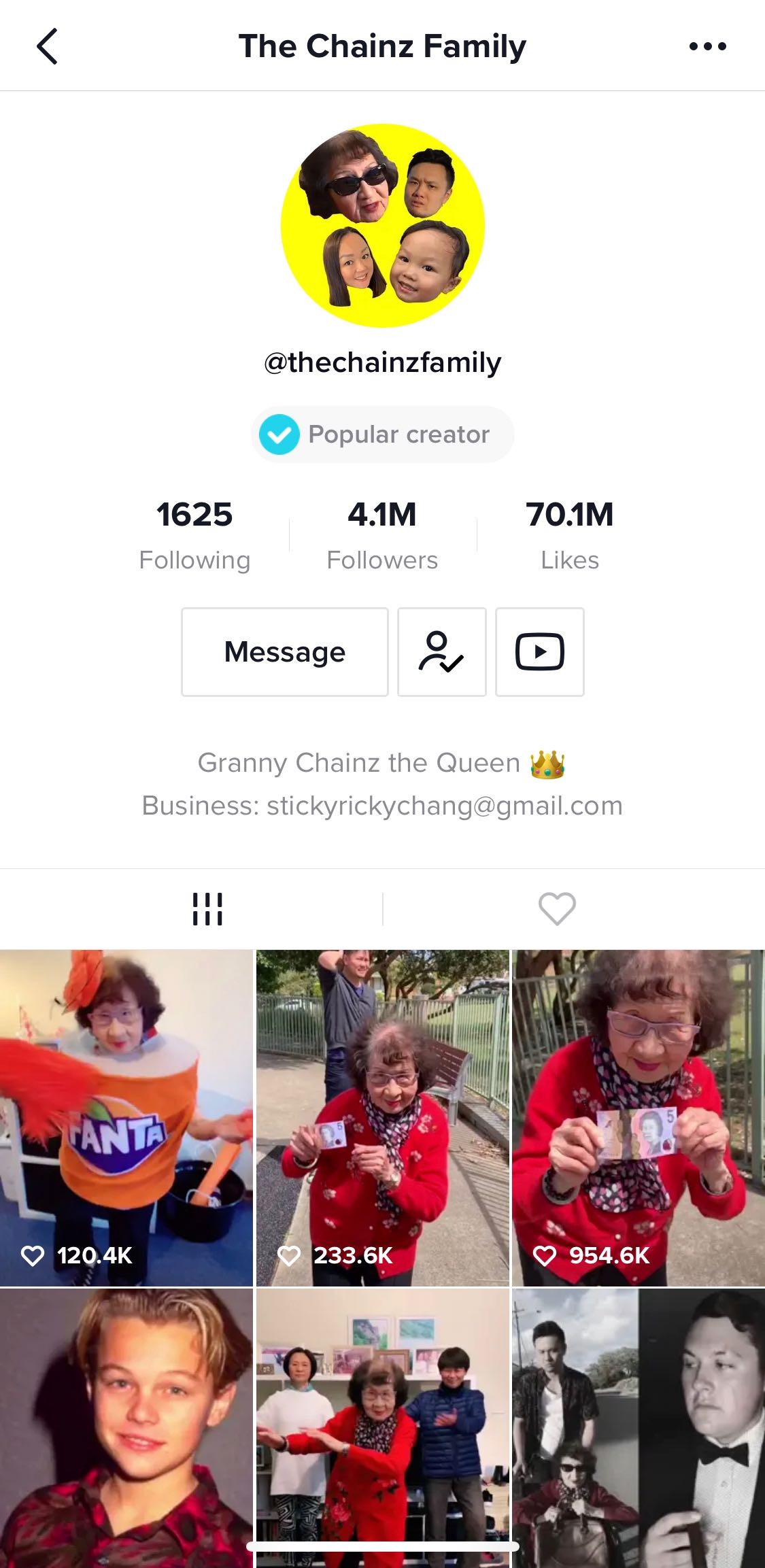 A screenshot of The Chainz Family TikTok account.