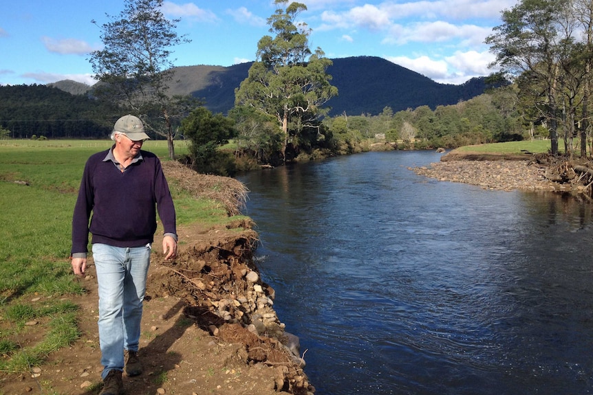 Landholder Gary Carpenter looking at where lobsters washed up