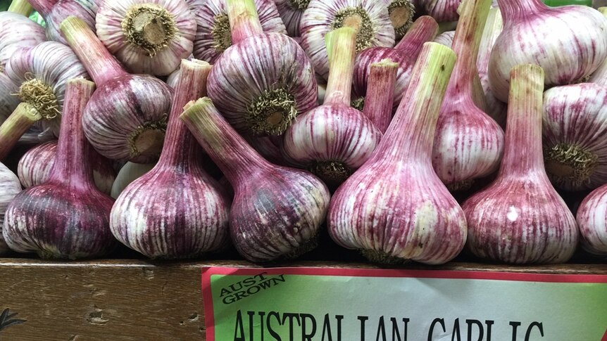 Large bulbs of garlic, streaked with purple, sit on a market shelf beneath a sign that reads "Australian garlic"