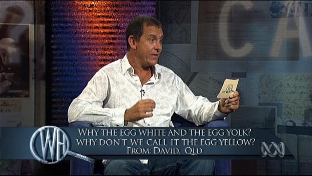 Presenters sit on set, text overlay reads "'Why the egg white and the egg yolk? Why don't we call it the egg yellow'?"