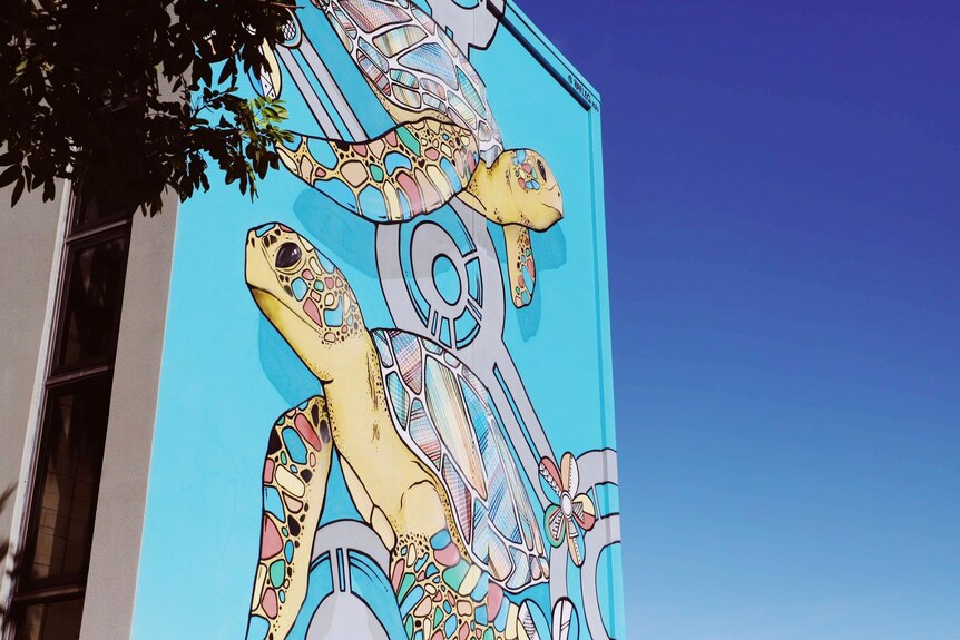 blue wall mural with two colourful turtles