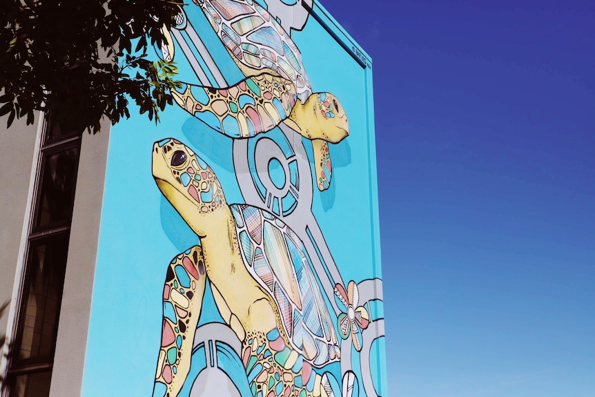 blue wall mural with two colourful turtles