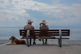 Two elderly people sit side by side on a bench overlooking a harbour, the man holding the leash of a Labrador.