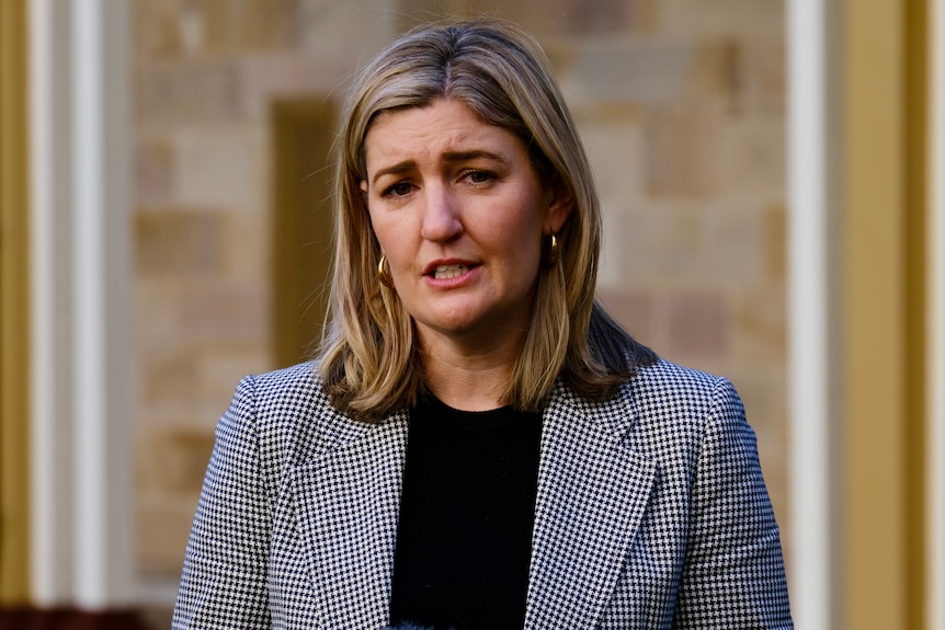 Shannon Fentiman speaks at a media conference in Brisbane.