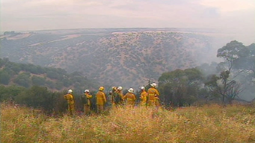 Hills areas would not cope with a fire emergency, a report warns (file photo)