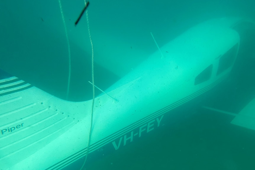 The plane on the sea bed just off Leighton Beach. 