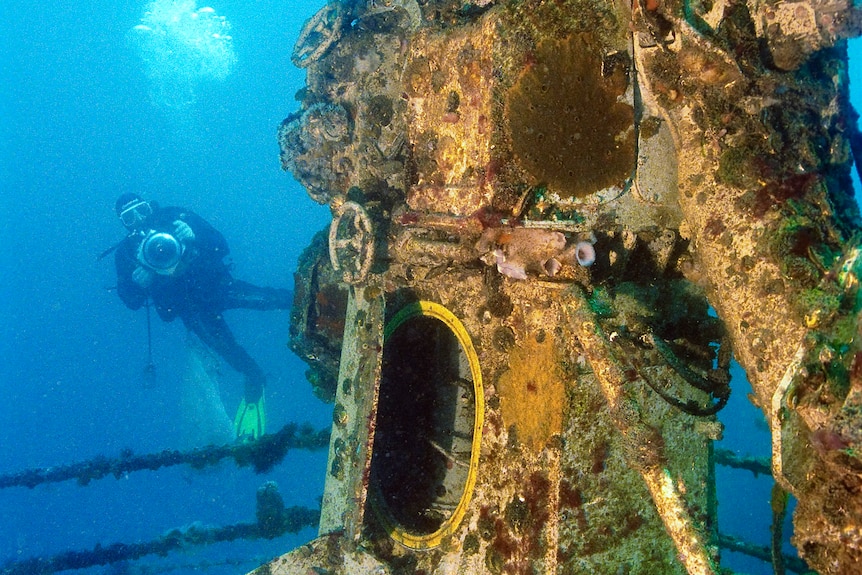 A diver underwater at a ship wreck