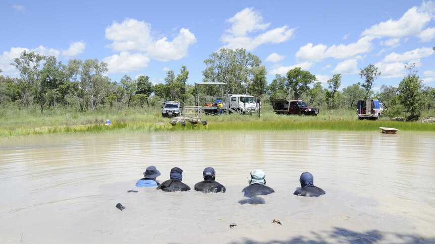 Five divers face away from the camera as they lie in Larrimah Dam.