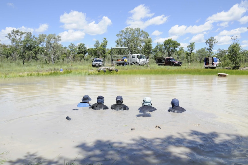 Five divers face away from the camera as they lie in Larrimah Dam.