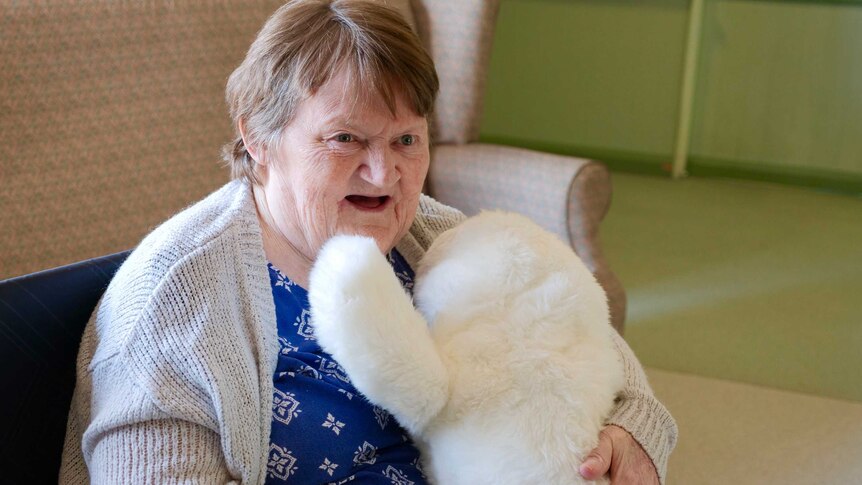robotic seal with resident suffering dementia at Gunther Aged Care Village in Gayndah, Qld.