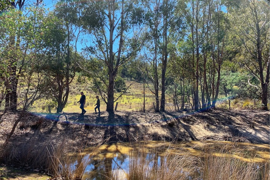 Graeme and Bridget walking on her land.