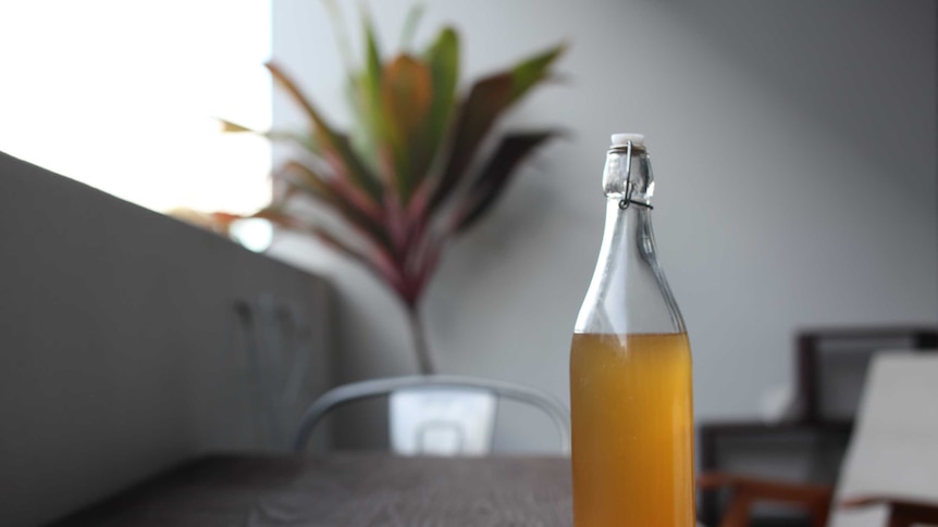 A bottle of kombucha sitting on a table