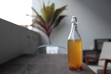 A bottle of kombucha sitting on a table