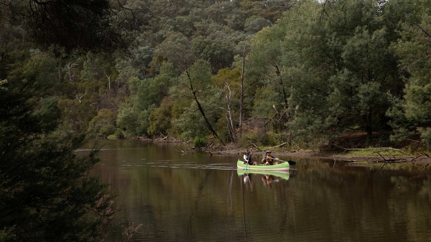 From the bank, you view a very still, brown Yarra River with thick scrub on either bank. Jonathan and Charlotte are canoeing.