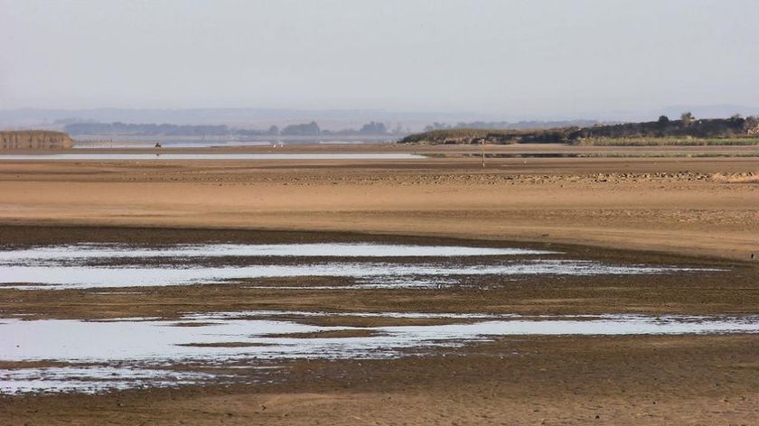 'What we really need to see ... is water actually flowing down the river to the Lower Lakes.'