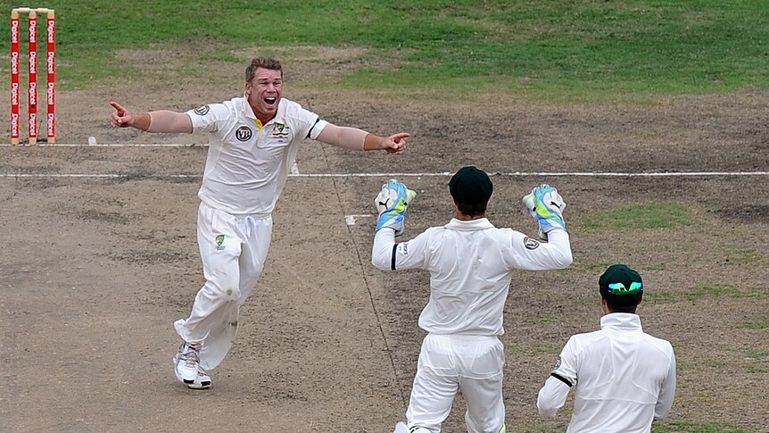 Warner celebrates first wicket