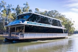 A large double-storey houseboat with Echuca Luxury Houseboats signage sails along a brown river lined with gum trees.