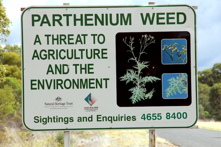 Parthenium weed sign beside a rural highway.