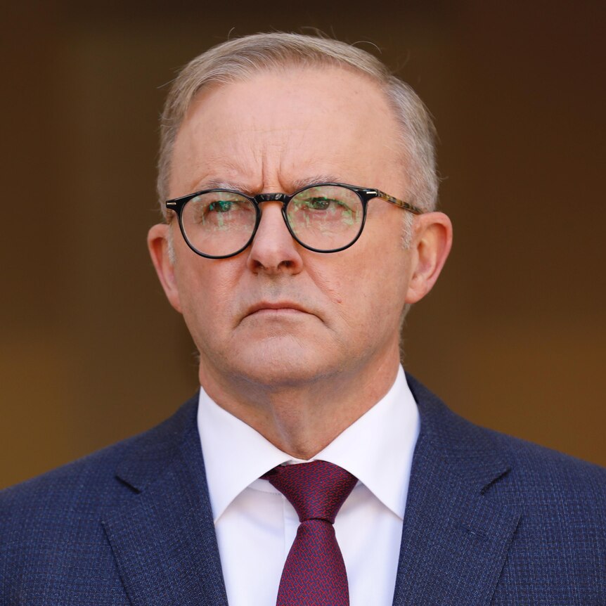 Anthony Albanese at a press conference at Parliament House