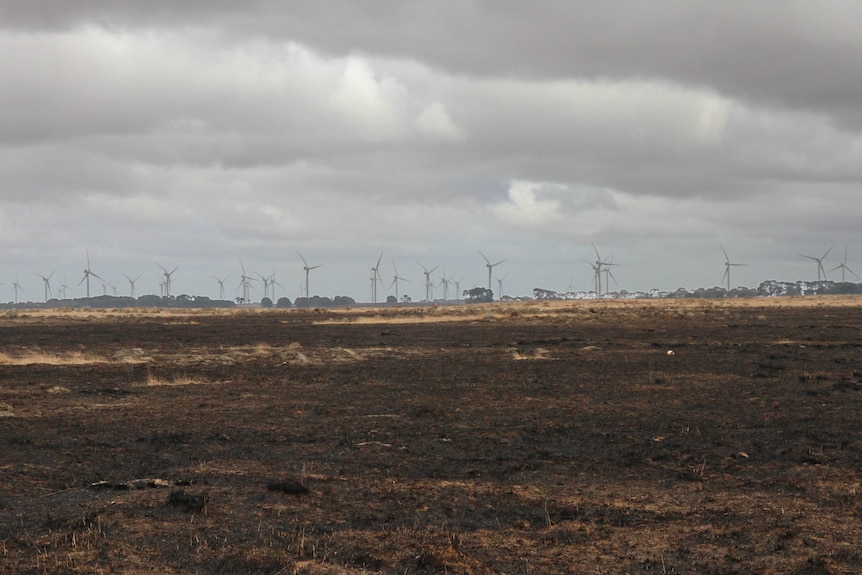 Long stretches of burnt pasture leading to windfarms on the horizon