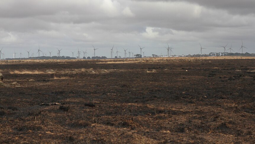 Long stretches of burnt pasture leading to windfarms on the horizon