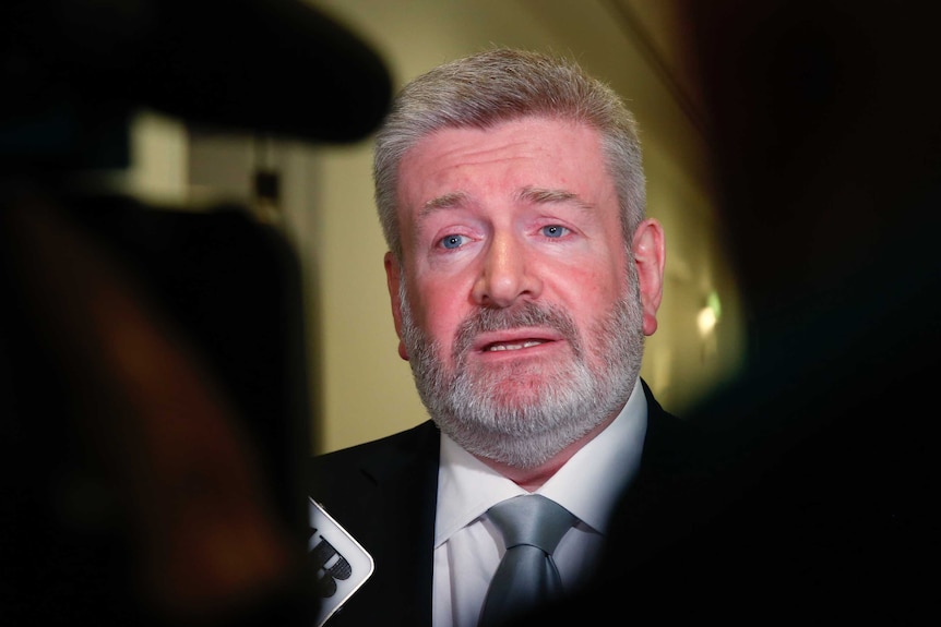 Communication Minister Mitch Fifield talks to the media