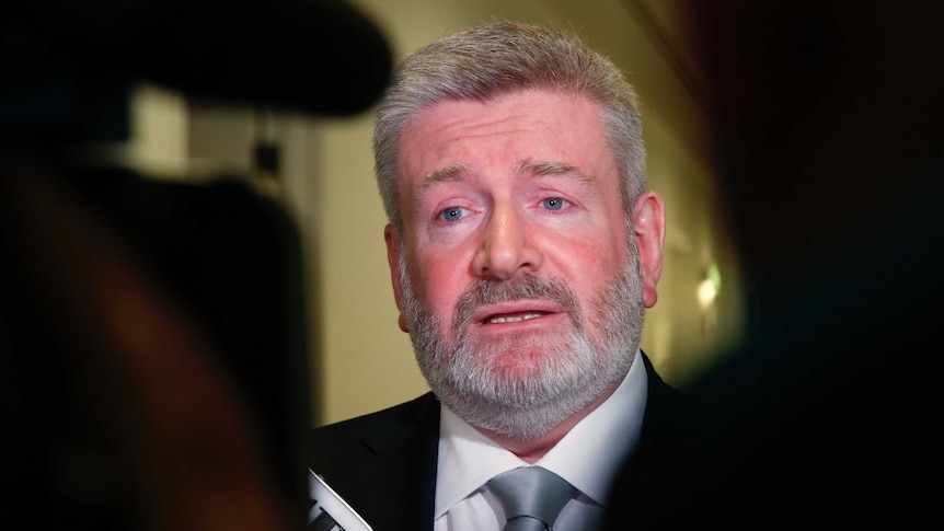 Communication Minister Mitch Fifield talks to the media