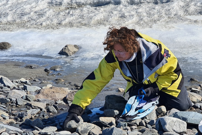 Ecologist Dana Bergstrom kneels among rocks by the sea