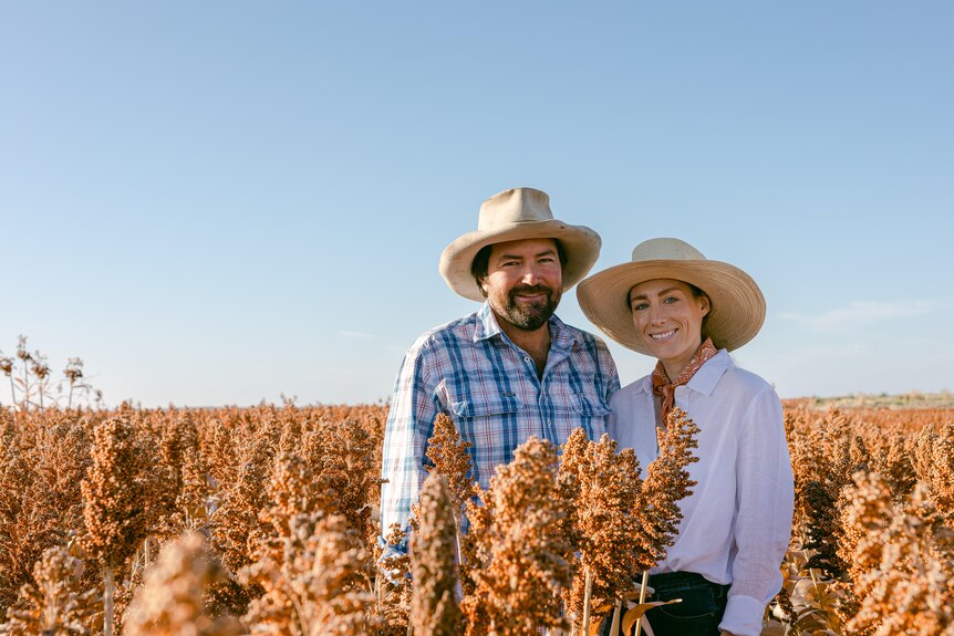 A man and woman stand amongst rust coloured sorghum.