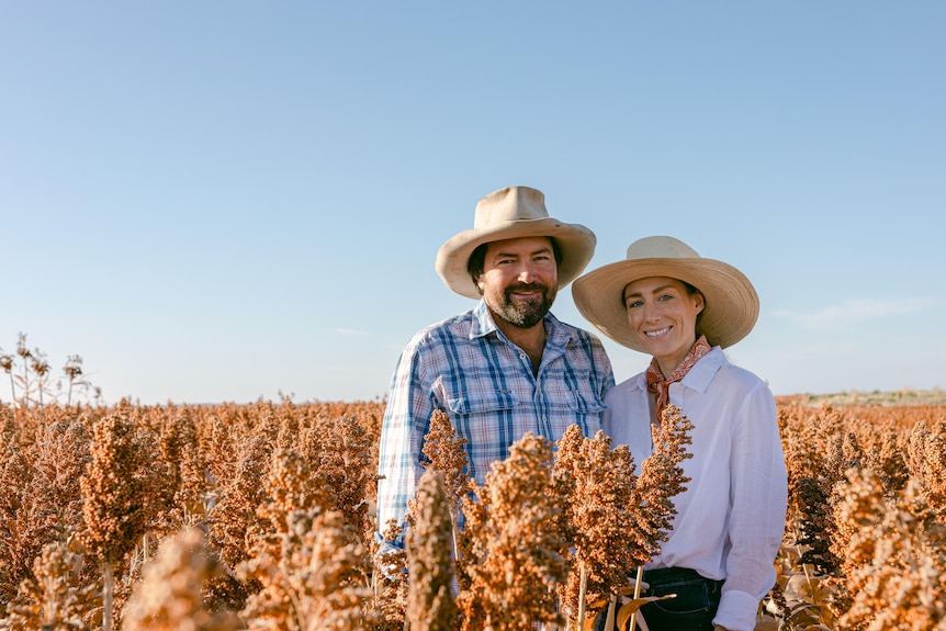 A man and woman stand amongst rust coloured sorghum.